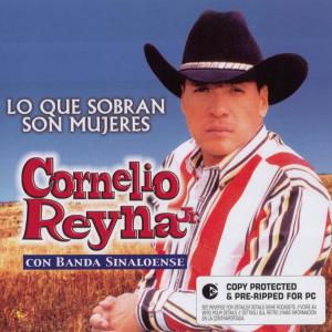 ดาวน์โหลดและฟังเพลง Mi Estrella en el Cielo พร้อมเนื้อเพลงจาก Cornelio Reyna Jr.