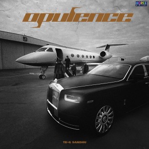 Album Opulence from Te-G Sandhu