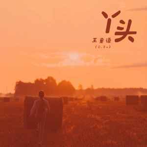 Album 丫头(0.8x) from 王童语