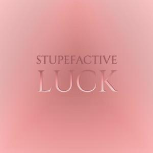 Various Artists的專輯Stupefactive Luck