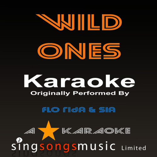 Wild Ones (Originally Performed By Flo Rida Feat Sia) [Karaoke Audio Version] (Karaoke Audio Version)