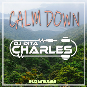 Album Calm Down Slowbass (Remix) from DJ Dita Charles