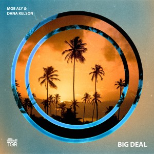 Moe Aly的專輯Big Deal