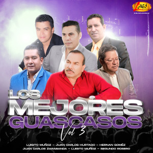 Album Los Mejores Guascasos, Vol. 3 from Varios Artistas