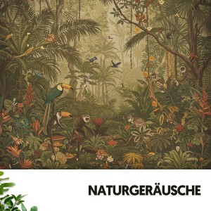 อัลบัม Naturgeräusche: Dschungelserenade ศิลปิน Schlafmusik