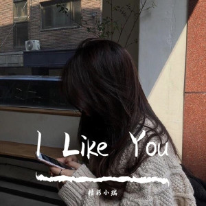 Dengarkan I've Got the Love（抖音原版） lagu dari 精彩小瑞 dengan lirik