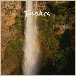 Album Tumbles from Various