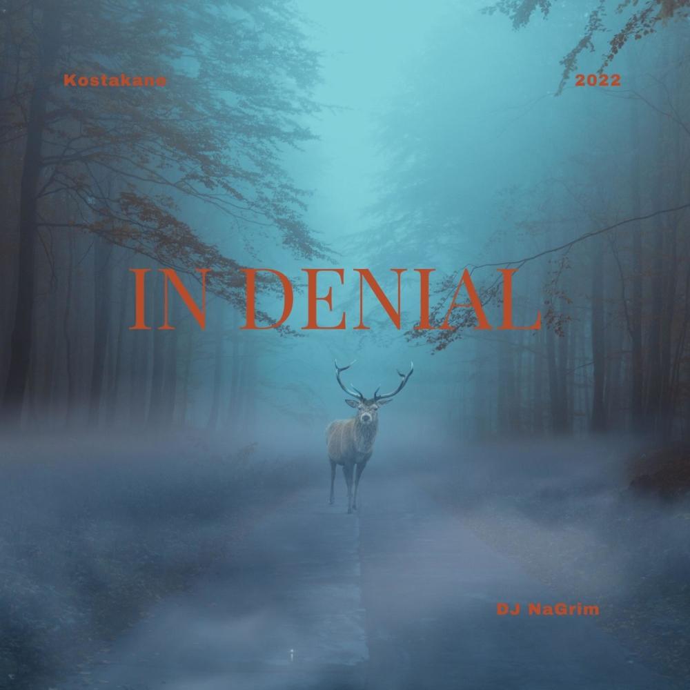 In Denial (feat. Kostakane) (Explicit)