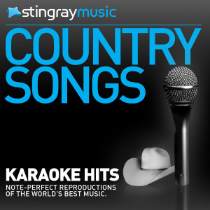 Stingray Music (Karaoke)的專輯Karaoke - In the style of Emilio - Vol. 1