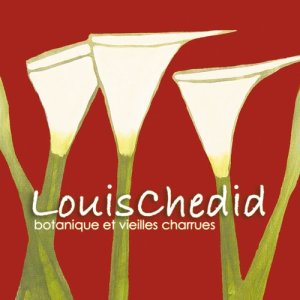 อัลบัม Botanique et vieilles charrues (Live) ศิลปิน Louis Chedid