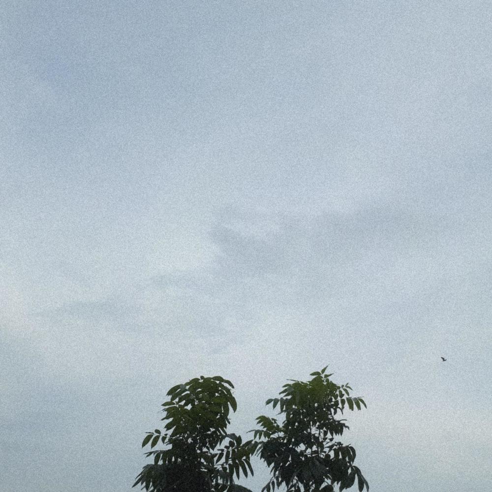 Tanan
