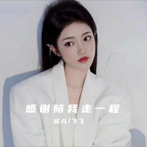 Listen to 感谢陪我走一程 (完整版) song with lyrics from 飞飞