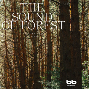 Dengarkan Wind and Leaves Sound of Jeju Bizarim lagu dari 힐링 네이쳐 Nature Sound Band dengan lirik