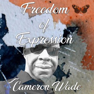 收听Cameron Wade的Behind the Mask歌词歌曲