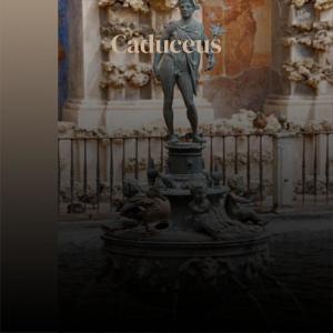 Various的专辑Caduceus