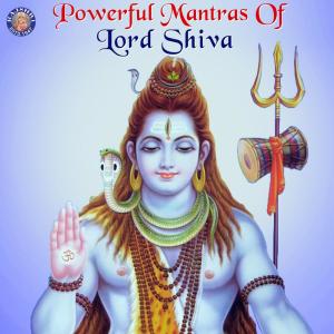 ดาวน์โหลดและฟังเพลง Shiv Tandav Stotra พร้อมเนื้อเพลงจาก Various Artists