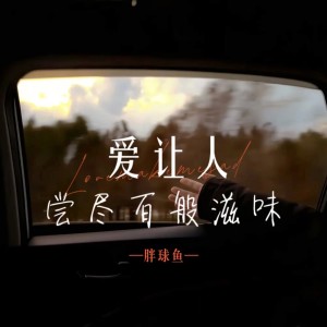 收听胖球鱼的爱让人尝尽百般滋味 (DJ越鑫版)歌词歌曲