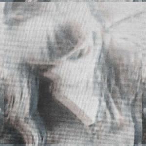 ดาวน์โหลดและฟังเพลง waste (feat. dxrko) พร้อมเนื้อเพลงจาก Seramonies