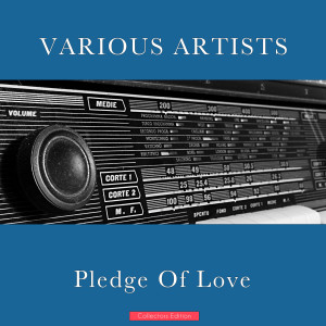 Pledge Of Love
