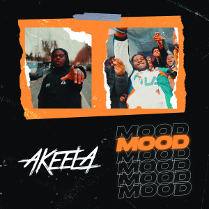 Akeela的专辑Mood
