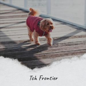 อัลบัม Tch Frontier ศิลปิน Various