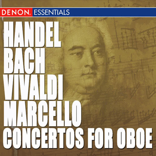 Concerto for Oboe, Strings & B.c. No. 1 in G Minor, HV 287: IV. Allegro