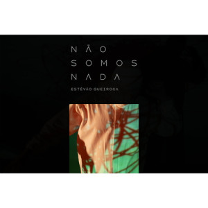 Album Não Somos Nada from Estêvão Queiroga