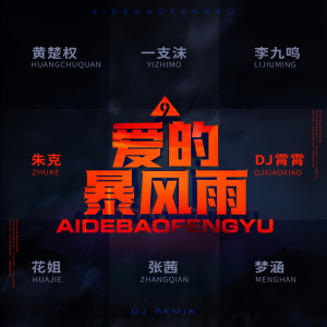 華語群星的專輯愛的暴風雨 (DJ霄霄大亂鬥)