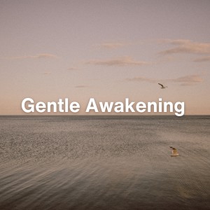 The Relaxation Principle的专辑Gentle Awakening