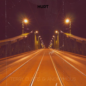 Listen to Hurt (Explicit) song with lyrics from Terry Curtis