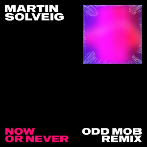 Martin Solveig的專輯Now Or Never (Odd Mob Remix)