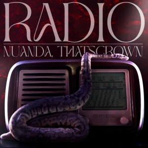 ดาวน์โหลดและฟังเพลง RADIO พร้อมเนื้อเพลงจาก Nuanda