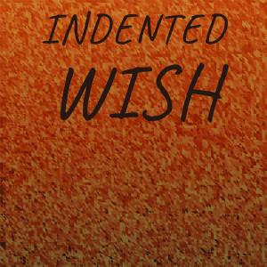 Album Indented Wish oleh Various