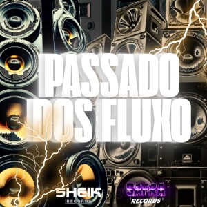 DJ TRALHA DA ZN的专辑PASSADO DOS FLUXO (Explicit)