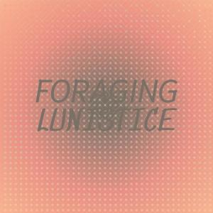 Various的专辑Foraging Lunistice