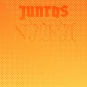 Various的专辑Juntos Napa