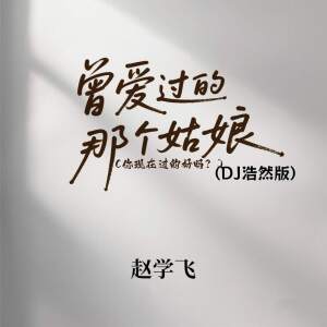 Album 曾爱过的那个姑娘 (你现在过的好吗？) (DJ浩然版) from 