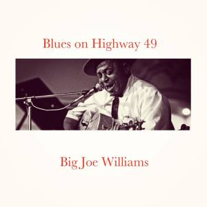 Blues on Highway 49 dari Big Joe Williams