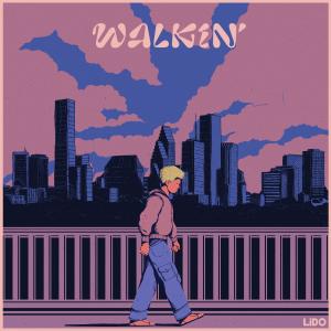 อัลบัม Walkin' ศิลปิน Lido
