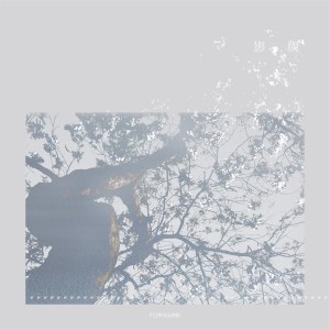 Listen to 影樹 song with lyrics from Forward