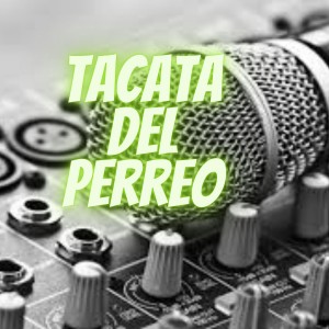 Listen to Tacatá del Perreo song with lyrics from Wilmer Jose