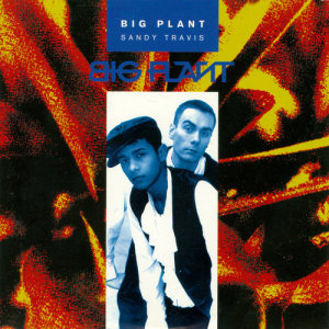 ดาวน์โหลดและฟังเพลง Never Run พร้อมเนื้อเพลงจาก Big Plant