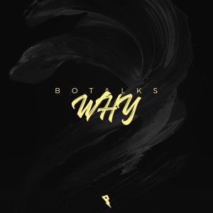 Listen to Why song with lyrics from Bo Talks