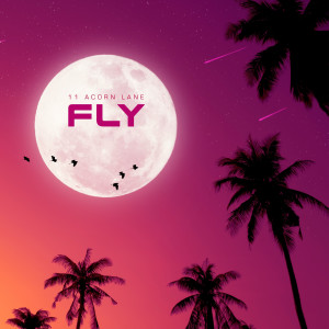 Album Fly from 11 Acorn Lane
