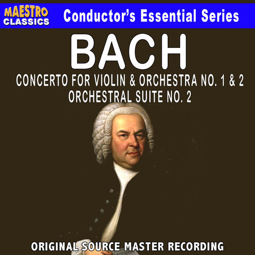 Violin Concerto No. 2 in E Major, BWV1042: III. Allegro assai