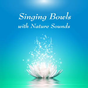 Listen to ASMR西藏頌缽: 思索 (流水) song with lyrics from Noble Music Project