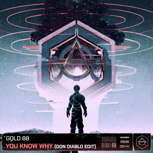 Dengarkan You Know Why (Don Diablo Edit) lagu dari Gold 88 dengan lirik