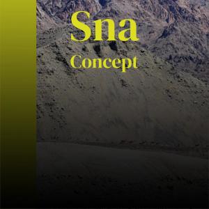 Album Sna Concept from 