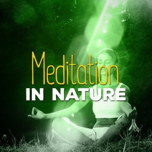 Bruits naturels的專輯Meditation in Nature