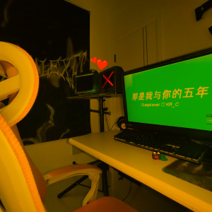 Listen to 那是我与你的五年 song with lyrics from Olegalexei